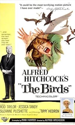 The Birds